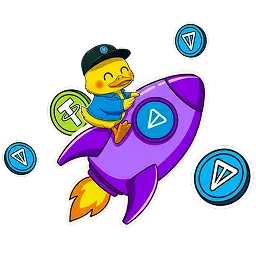 Утка TonPlay на ракете